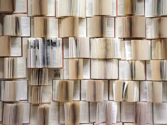 10 libros de sostenibilidad para 2023