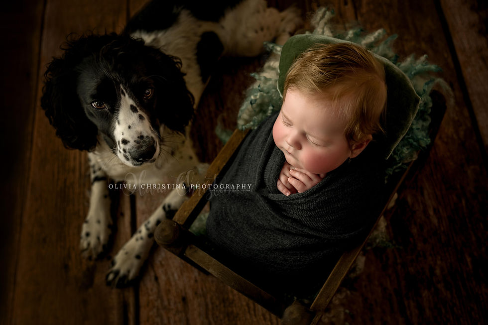 Baby photographer Hertford — newborn in nest prop