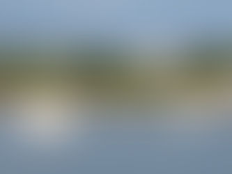 Check the weather and sea conditions