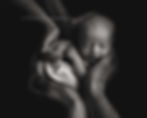 Newborn photographer Hitchin — sleeping baby in parents hands portraitPhotographer