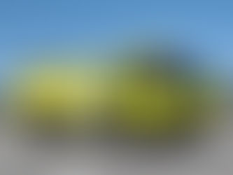 WAFES 2022 Conference - Friday, 9 September