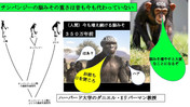 なぜ口呼吸?:人体の過去を探ることで真実がわかります
