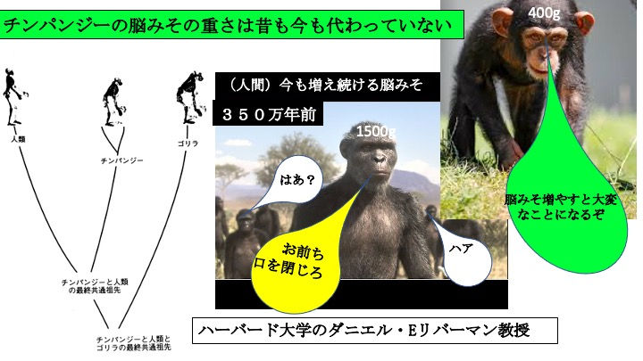 なぜ口呼吸?:人体の過去を探ることで真実がわかります