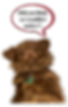 A cute Chihuahua with a speech bubble that reads, “Did you think we wouldn’t notice?!”