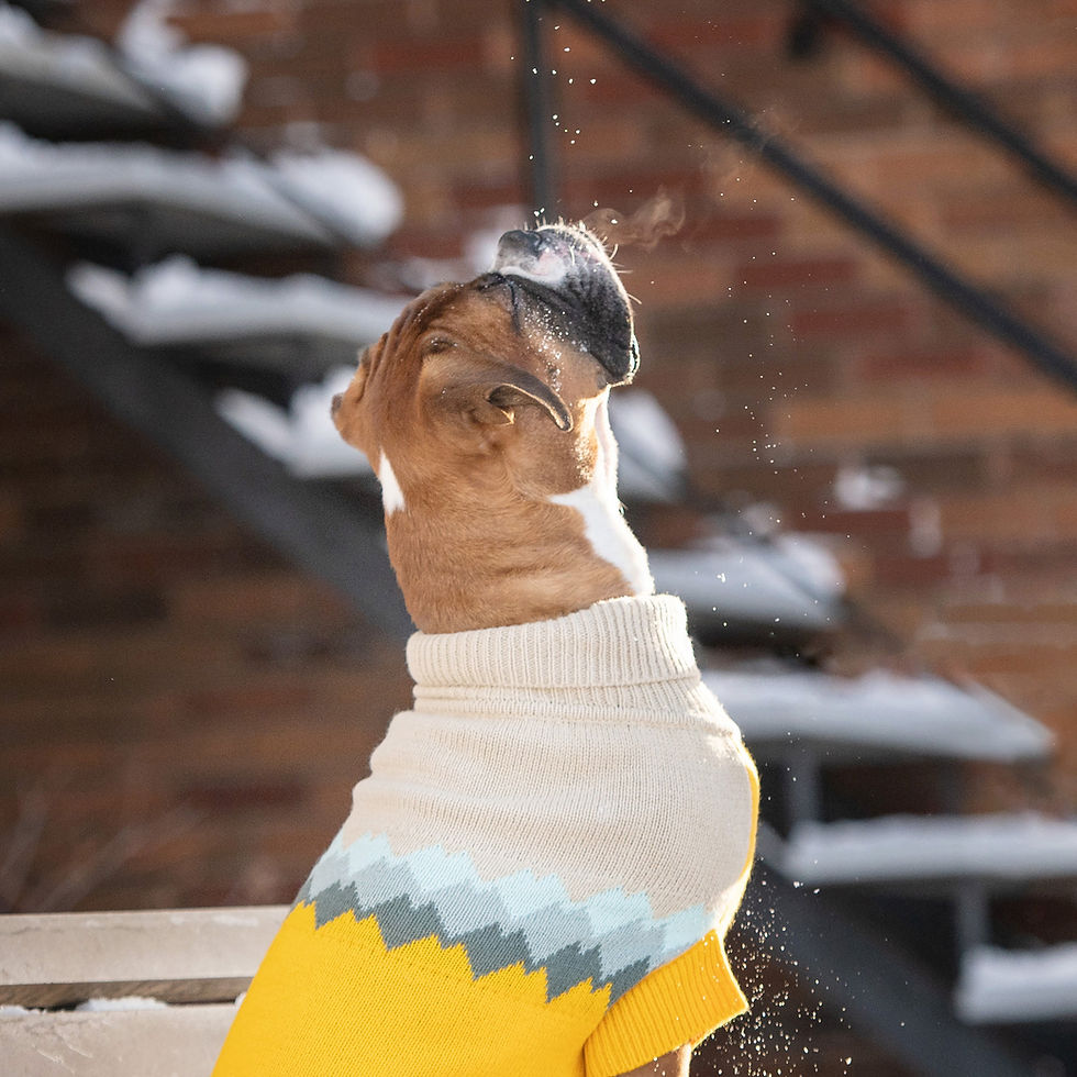 Thumbnail: Fireside Sweater - Yellow
