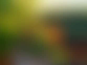 Uvas y Manos Mexicanas