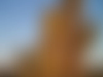 En el ombligo de la luna