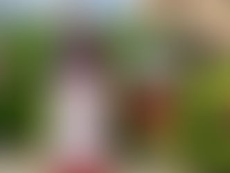 Merlot Rosé inspiración de Veranos Californianos