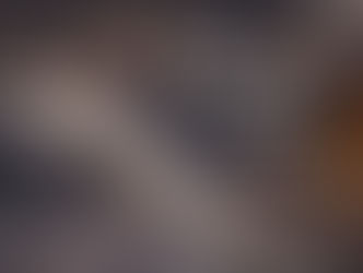 Exploring the Parts of Commercial Ovens: A Focus on Hinges