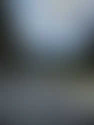 Smartphone Updated from Serbia