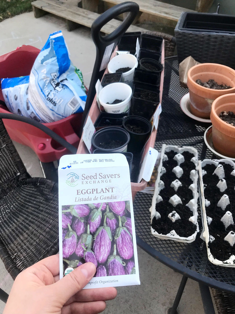 I got so much potting soil I had to move it with a wagon!
