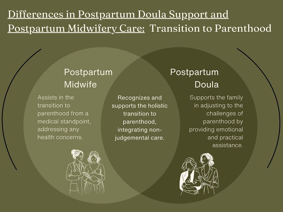 Lactation Help, Postpartum doula, postpartum midwife, postpartum help, madison wisconsin