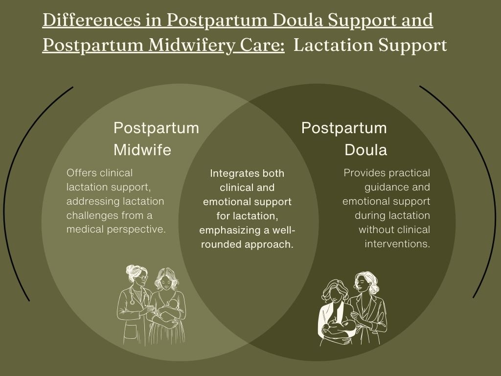 Postpartum Posturing Differences in Postpartum Midwifery Care and Postpartum Doula Support