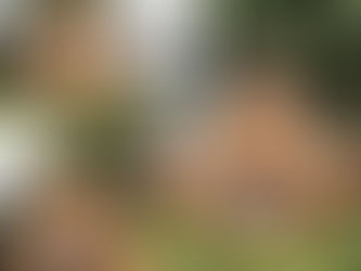 #21DAYMEDITATIONCHALLENGE