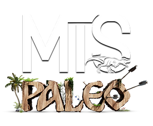 INGAME_Logo_Paleo.png