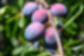iStock-1021078576.jpg