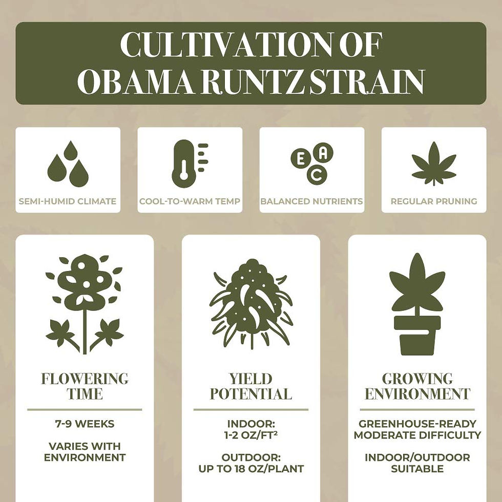 obama runtz strain flowering time