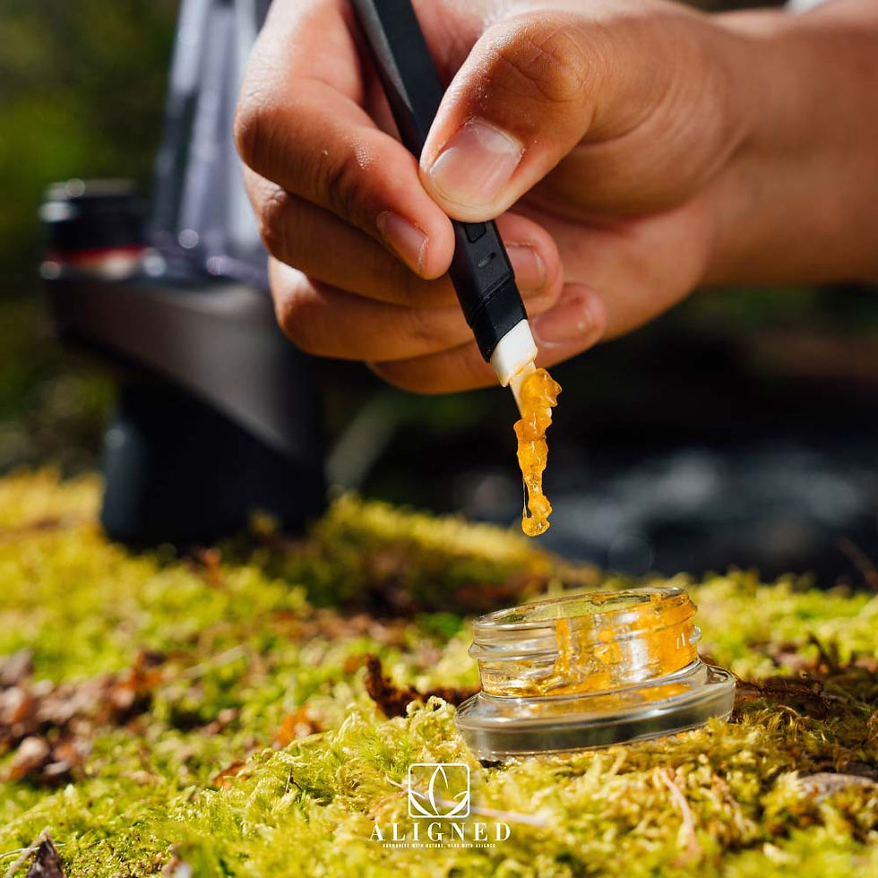 live resin vs live rosin
