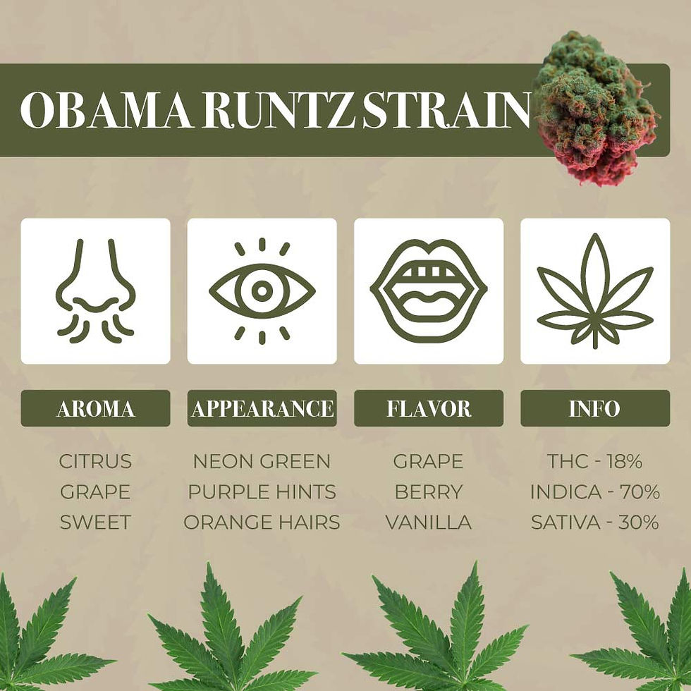 obama runtz weed strain
