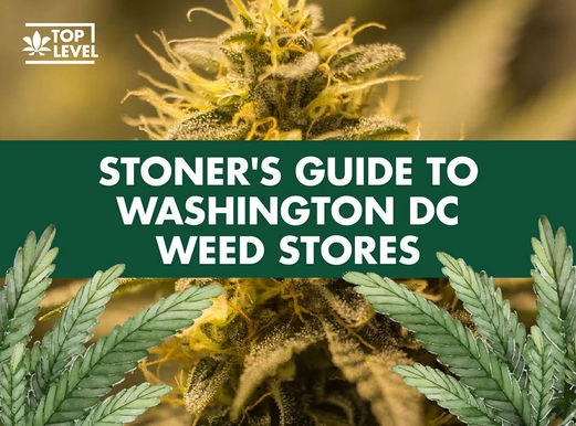 Pot Shops in DC: A Stoner’s Guide to Shopping Legally in 2025