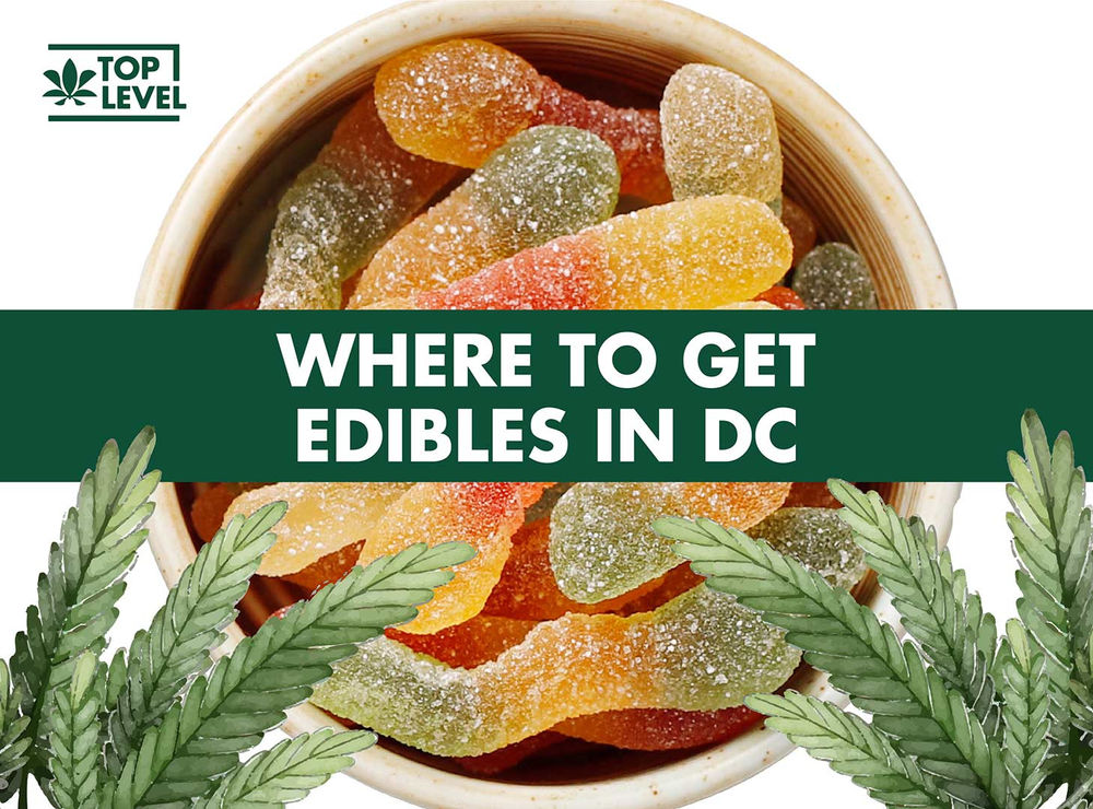 Where to Buy Edibles in DC [Reviews + Prices]