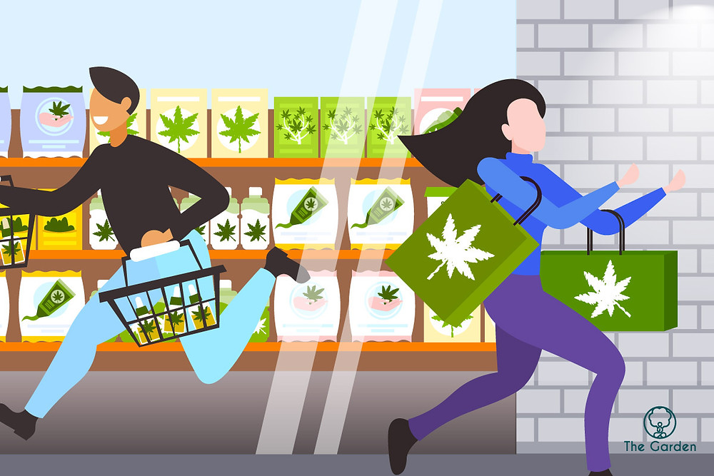 Washington DC Dispensary Rules