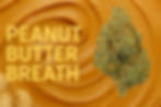 peanut butter breath strain