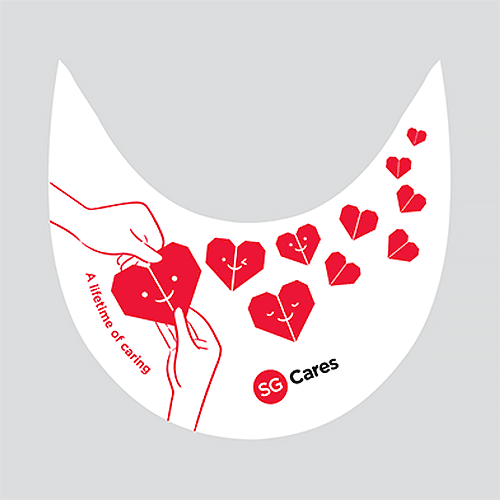 NDP sun visor design