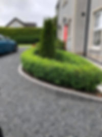 198136655_2827065207417973_1476250855207373403_n.jpg