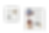 bundle-background.png