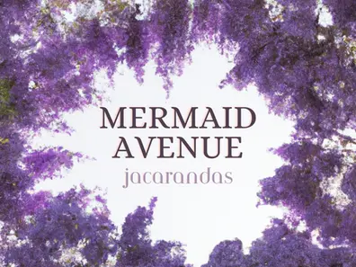 Jacarandas, Tree, Bloom, Season, Purple, Lavender, Band, Brisbane, Australia, Music, Musicians, Artists, Drummers, Light, Lamp, Rock, Alt Country, Indie Rock, Americana, Glasses, Album, Cover, Art