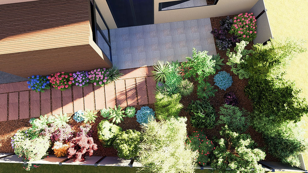 Aménagement d’un jardin en friche transformé en espace harmonieux avec terrasse en pierre naturelle Kandla opus, allée en palis de grès, plantations de terre de bruyère et paillage en écorce de pin.