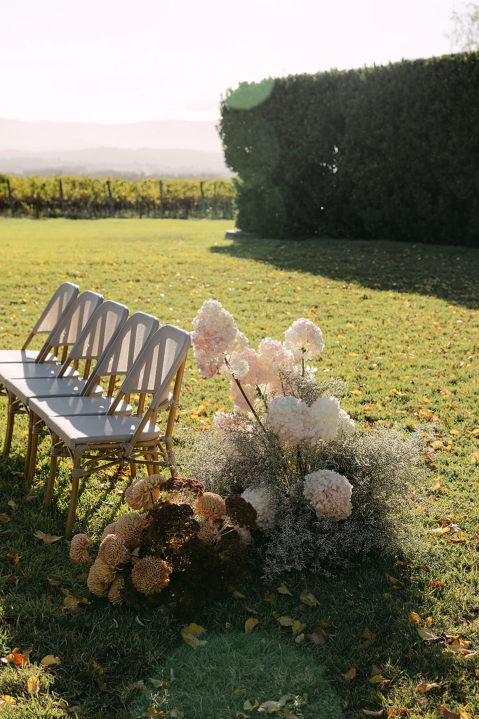 A close-up, sunlit shot captures white chairs and a cluster of light-colored flowers on green grass. In the blurred background, a hedge and open field are visible.