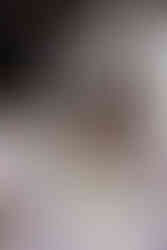 A beautifully set table illuminated by sunlight, featuring a vibrant floral centerpiece with pink, orange, white, and purple flowers. There are also tall candles, wine glasses, and a bread basket. Perfect for a wedding at Stones of the Yarra Valley, the table is elegantly arranged with plates and cutlery.