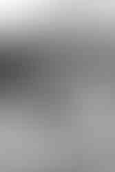 White sweet peas in a stem vase