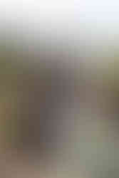 A close-up of an elegant wedding floral arrangement featuring purple, pink, and white flowers, and lush greenery, with a blurred beach setting visible behind.