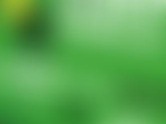 Hobby-Fußball  - KFWM2024