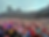 Philadelphia Phillies