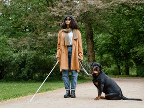 Perros guía: ¿Cuál es la situación de estos perros de asistencia en el Perú?