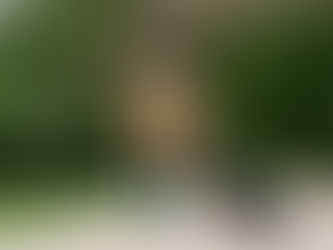 Perros guía: ¿Cuál es la situación de estos perros de asistencia en el Perú?