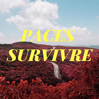 Photo du rédacteur: survivre à la PACES