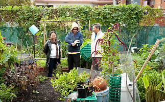 Rachelle_Davey (111 of 135) - Copy.jpg