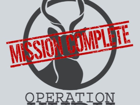 Operation Kudu