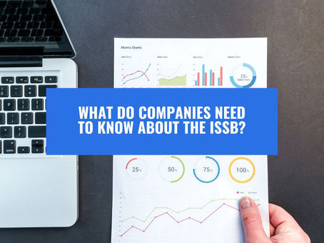 Part 3: What Do Companies Need to Know about the ISSB?