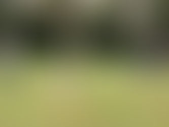 Golfplac 2020 - fotogaléria 1.10.