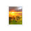 Thumbnail: Mistic sunrise Adelaide Hills Framed poster