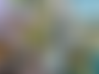 HDB Flat Vs Private Property? How Would You Choose