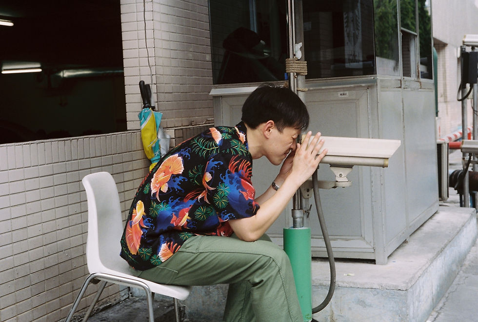 Siamese Fighting Fish "Pla Kad" Inspired Hawaiian Shirt