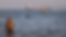 Residents swim in the waters of the Strait of Hormuz as a small motorboat passes cargo ships and other commercial vessels offshore near Bandar Abbas, Iran. AP File | Firstpost