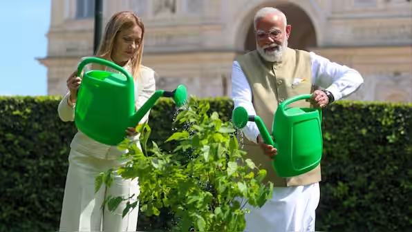PM Modi and Giorgia Meloni Plant Black Mulberry Sapling in Rome, Marking a New Chapter in India-Italy Relations